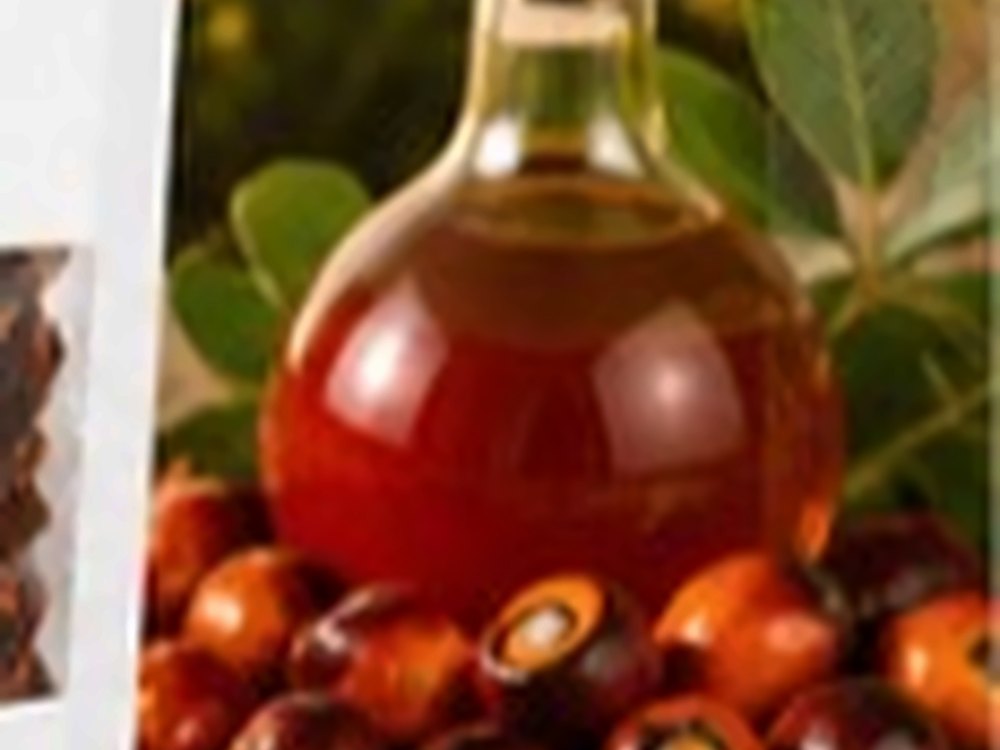 Bottle of African Farm & Gardens Red Palm Oil beside fresh palm fruit